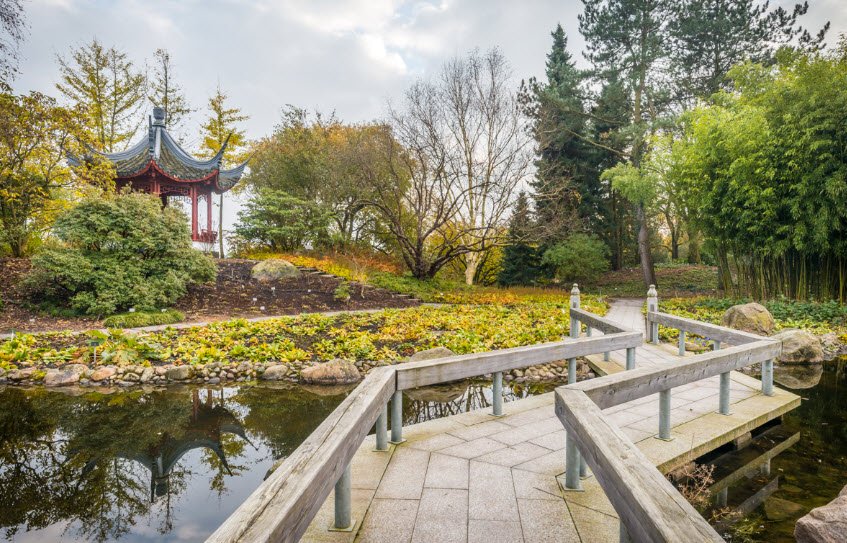 Loki Schmidt Garden Botanical of University Hamburg, Hamburg, Germany, Germany